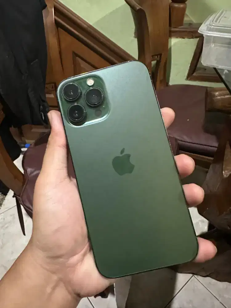 13 promax 256gb inter all operator