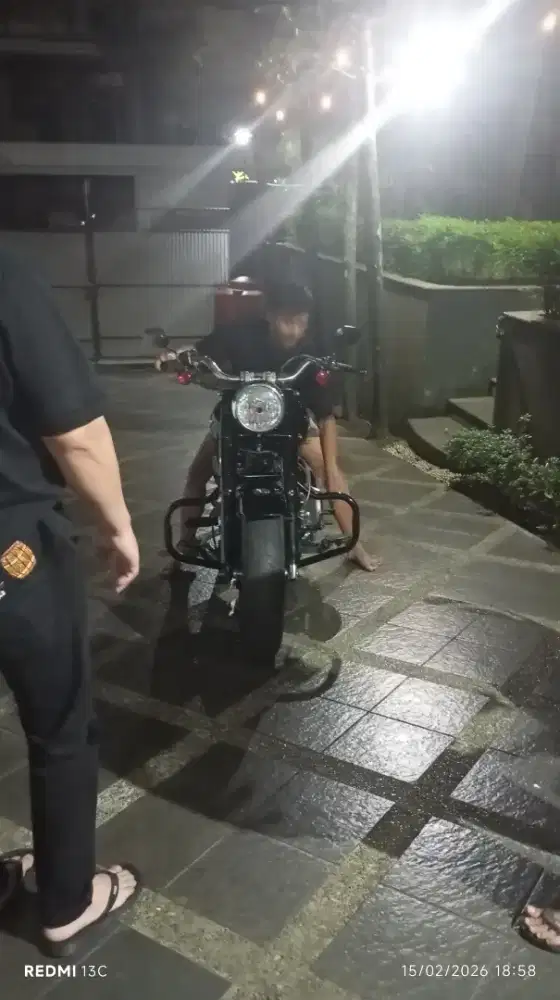 Jual Aja Harley nya