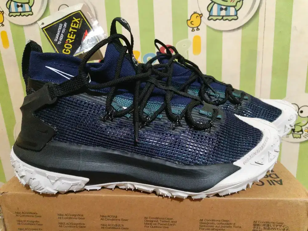 Sepatu Trail Run Nike ACG Mountain Fly 2 Low Gore-Tex sneakers