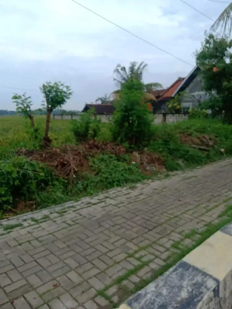 Di jual sebidang sawah serbaguna