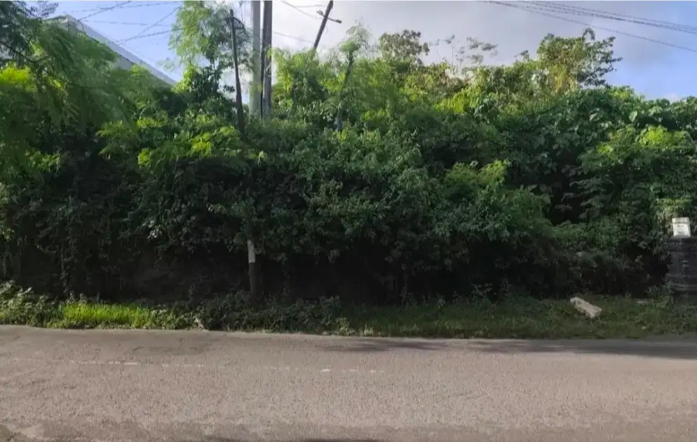 Di Jual Tanah Peguyangan