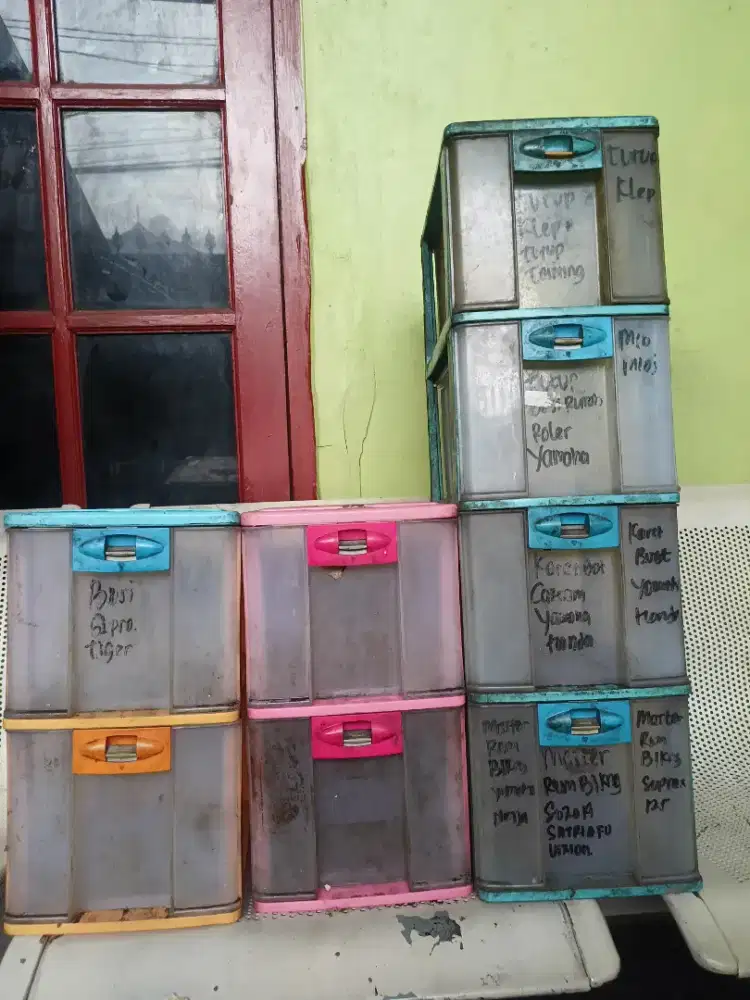 Laci susun lion star