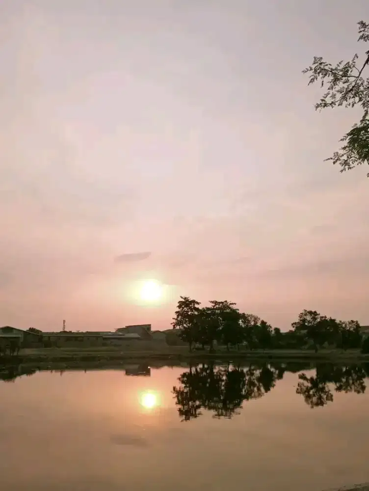 Mencari Karyawan, Memiliki Pengalaman Packing