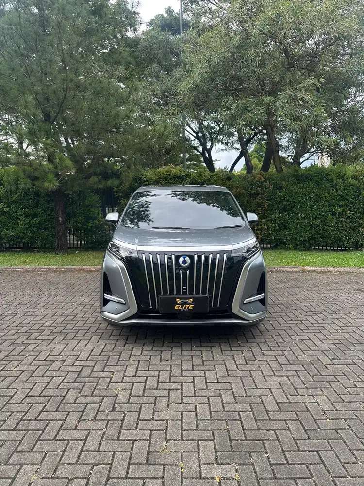 Denza D9 EV Low Odo Warranty On