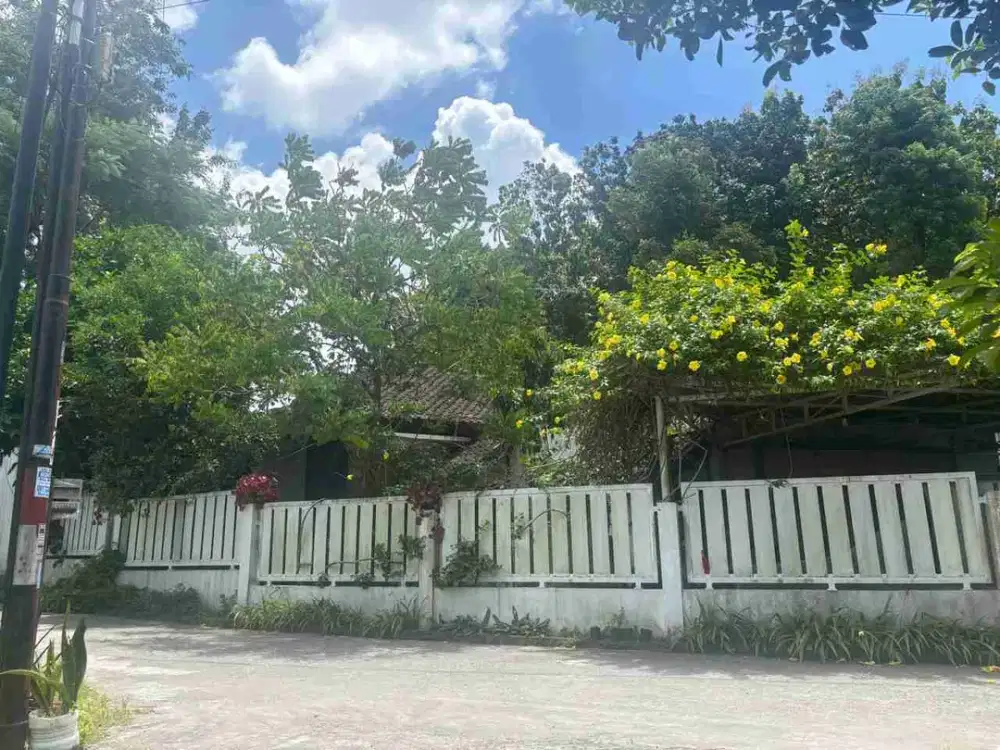 Rumah Luas Di Sidoarum jl. Godean Dekat Ringroad Dan Pusat Kota Jogja