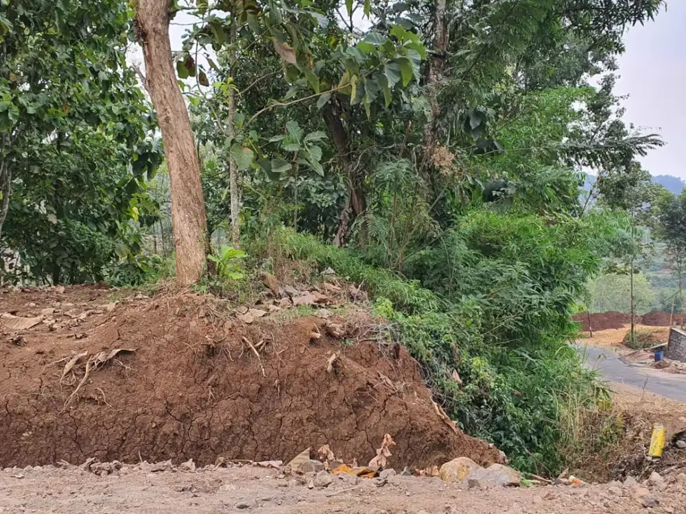 Ds. Dalisodo - Malang