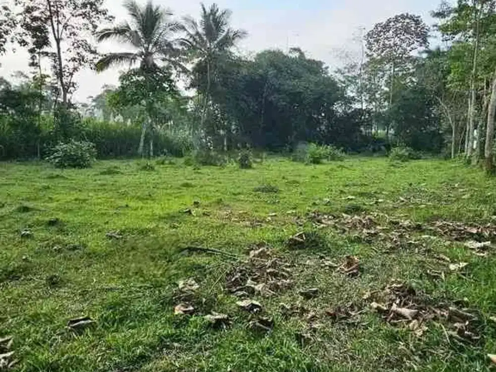 Jl. Gunung Jati - Singosari