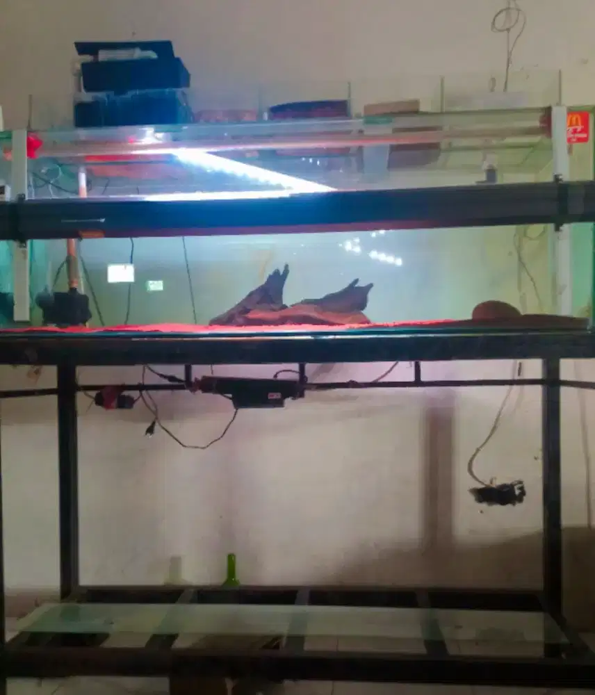 Aquarium 150x50x50 full 10ml jual semua