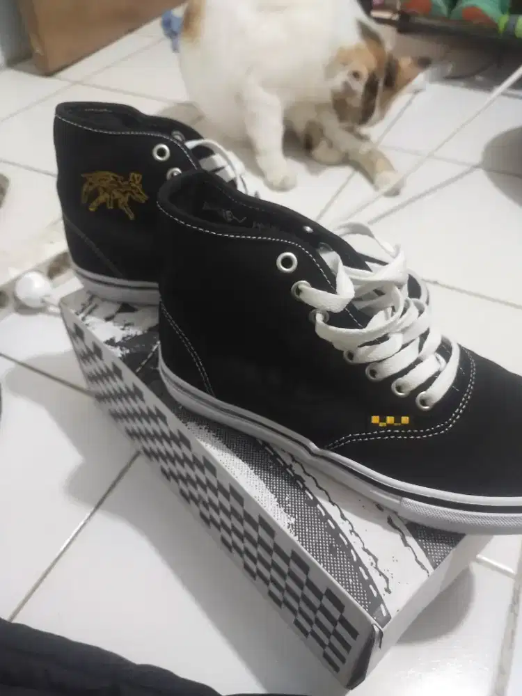 Vanz Hi SkateXAndrew Alen