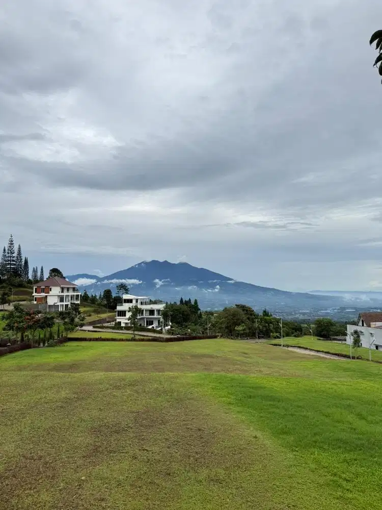 LOWONGAN ART PULANG HARI