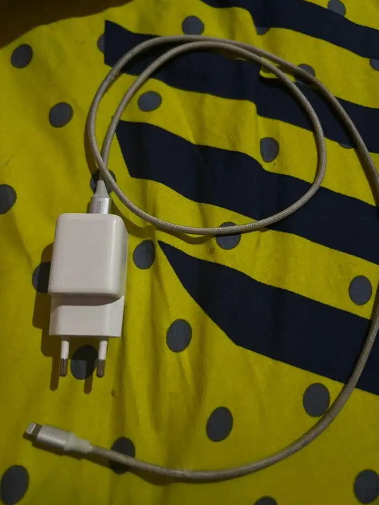 Charger ugrenn ligthning buat ip