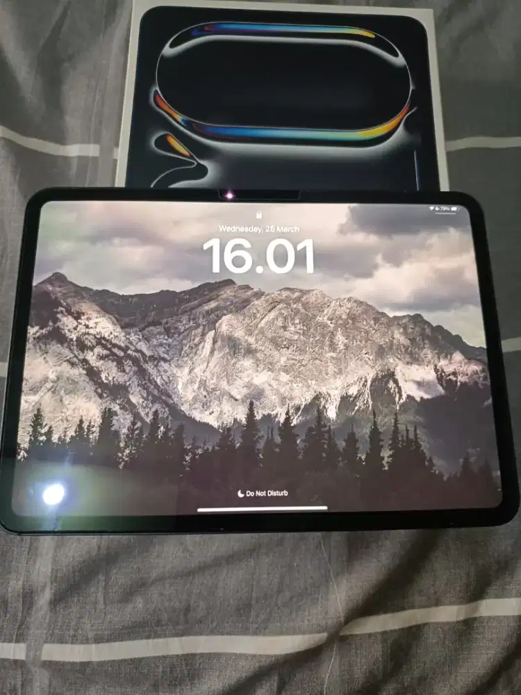 Jual IPAD PRO M4 11 INC 256 GB