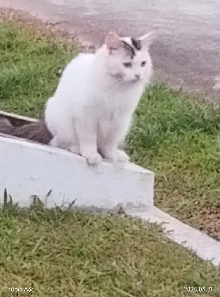 saya cari kerja pengalaman CME,Sitac tower telekomunikasi