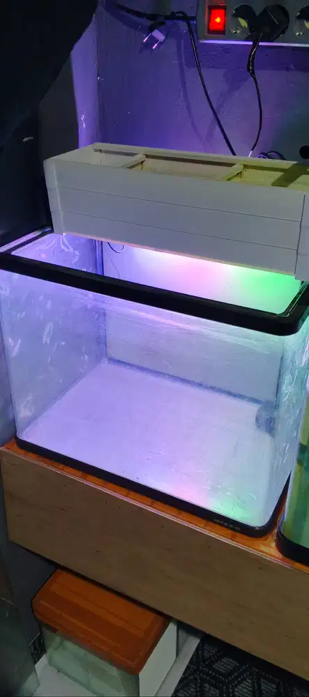 Akuarium Aquarium Nisso Bending