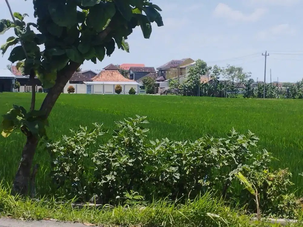 Murah Cocok Dibangun Gudang Di Dekat Exit Tol Karanganyar Jateng