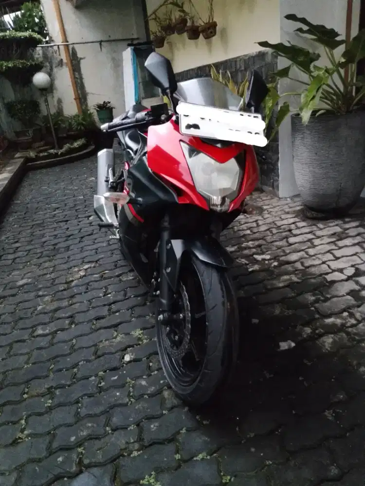 Kawasaki Ninja Mono 250 SL 2019