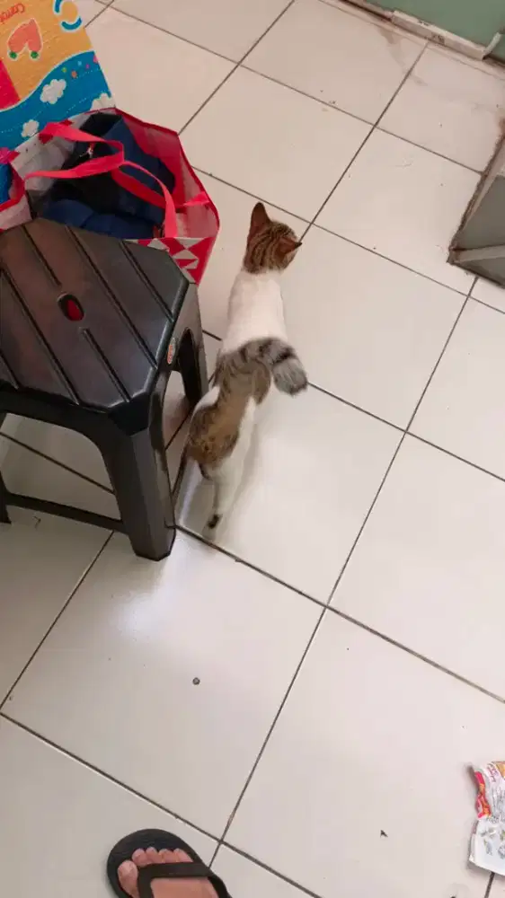 Kerja paruh waktu - Cleaning