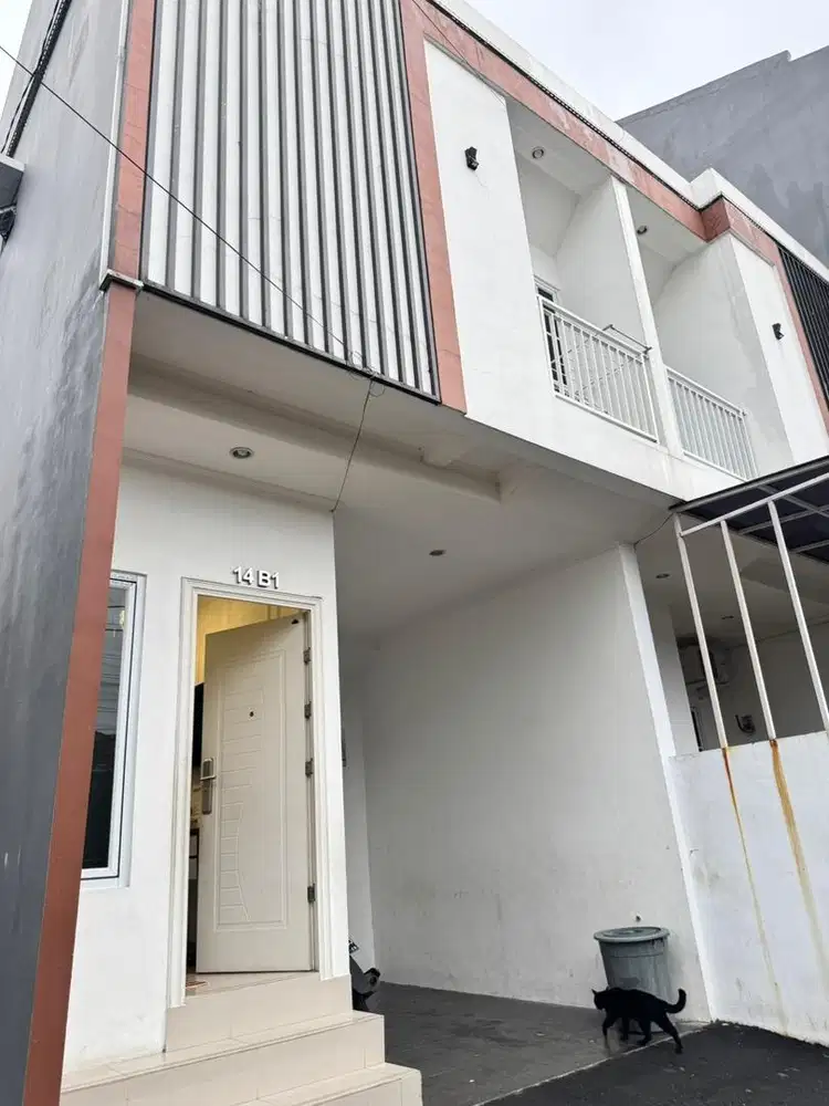 Cluster daun pisangan baru