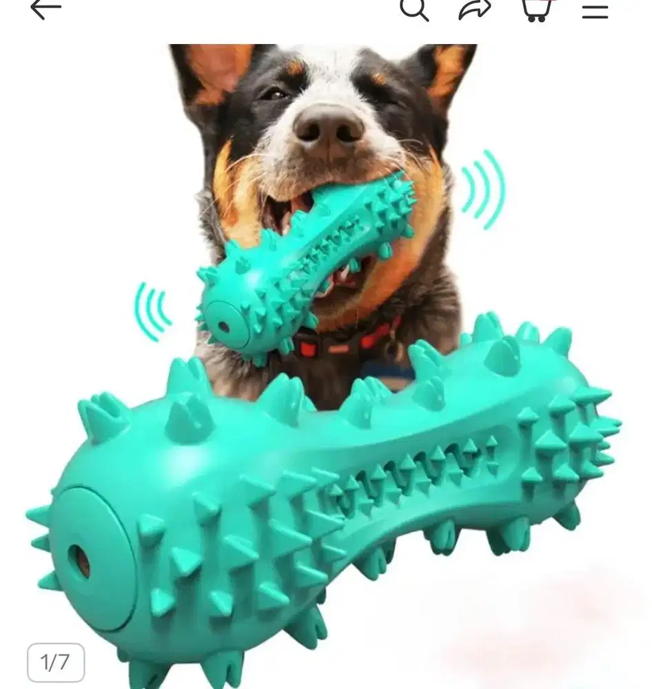 Pengasuh Anjing (Kennel Boy)