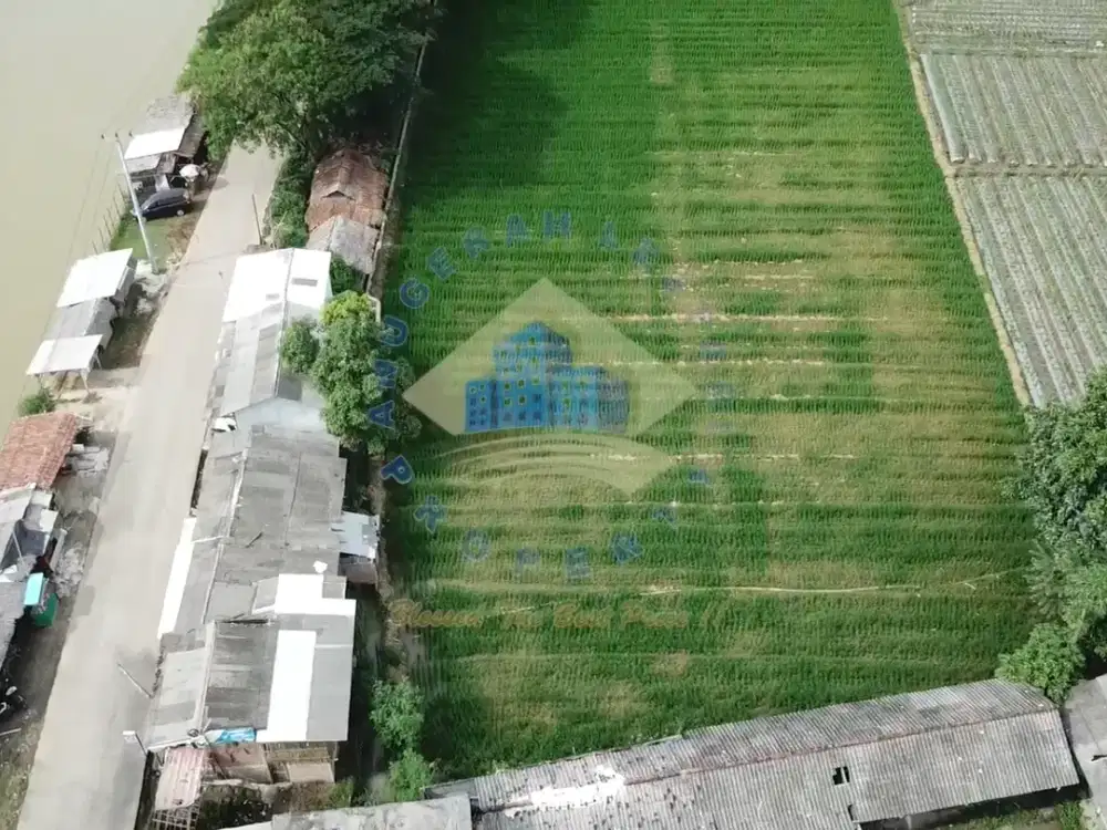 Jual Tanah di Panosogan, Cikeusal, Serang - Banten.