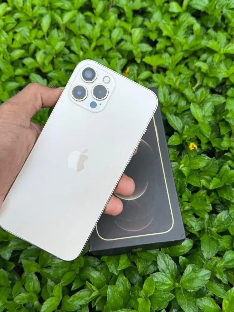 Iphone 12 Promax 128 inter all oprator