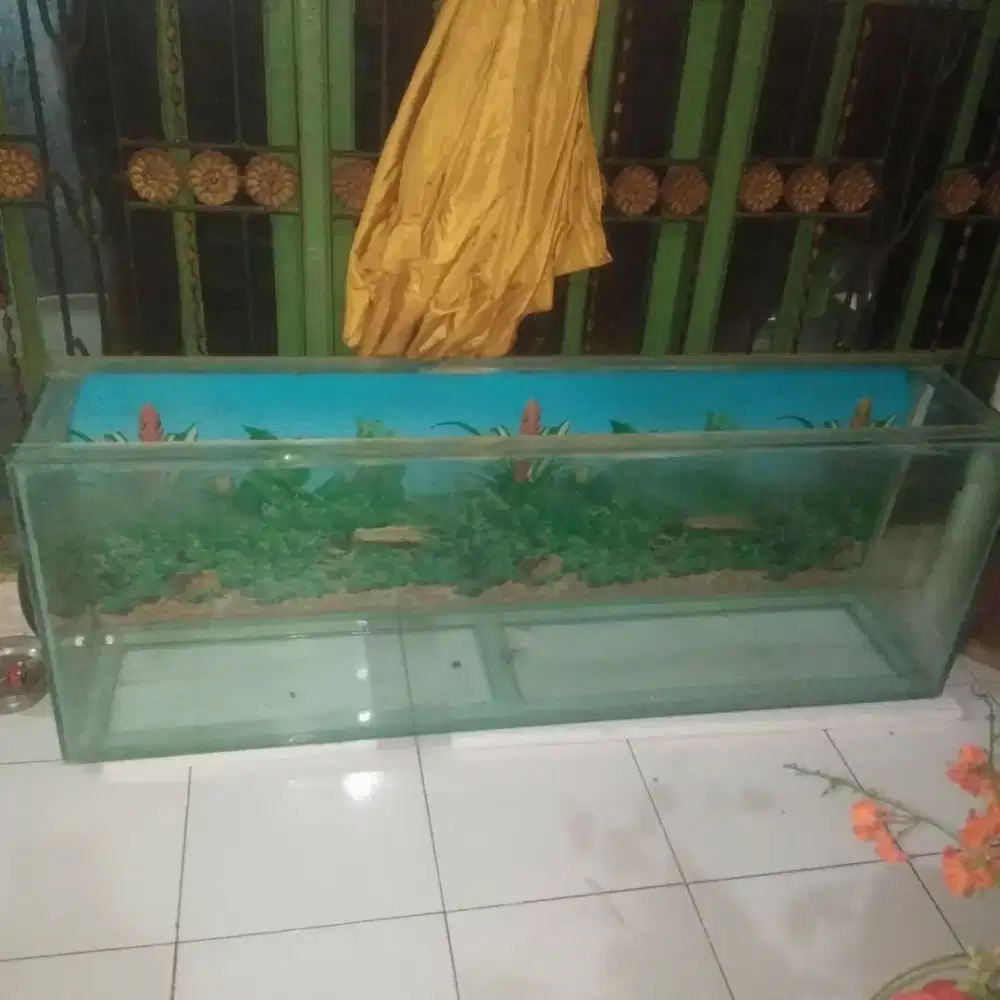 Aquarium ikan hias