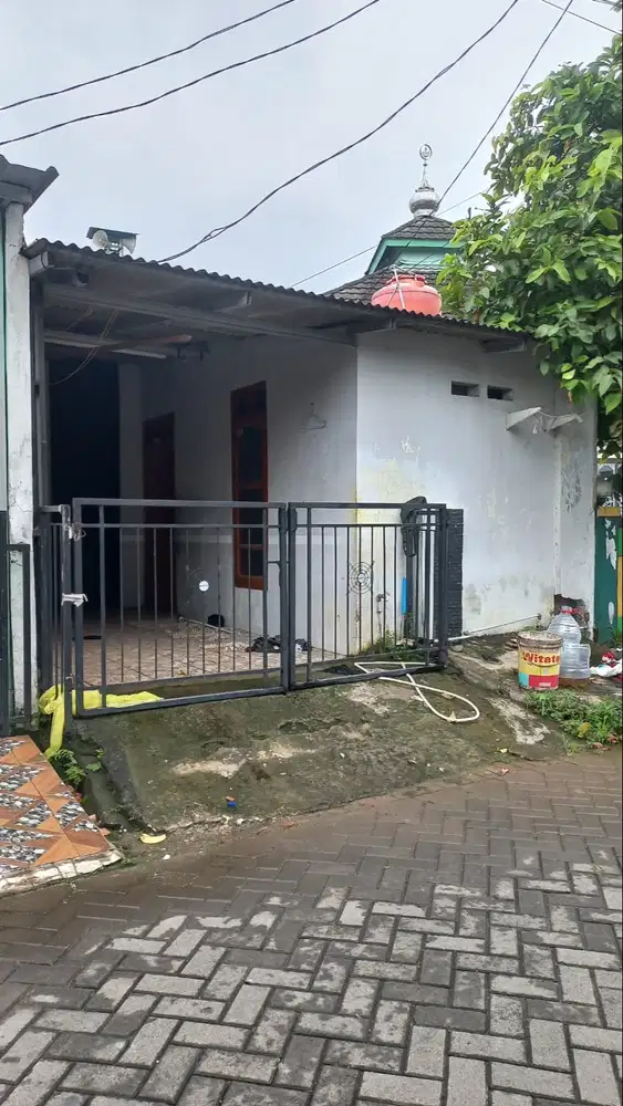 Dikontrakkan rumah