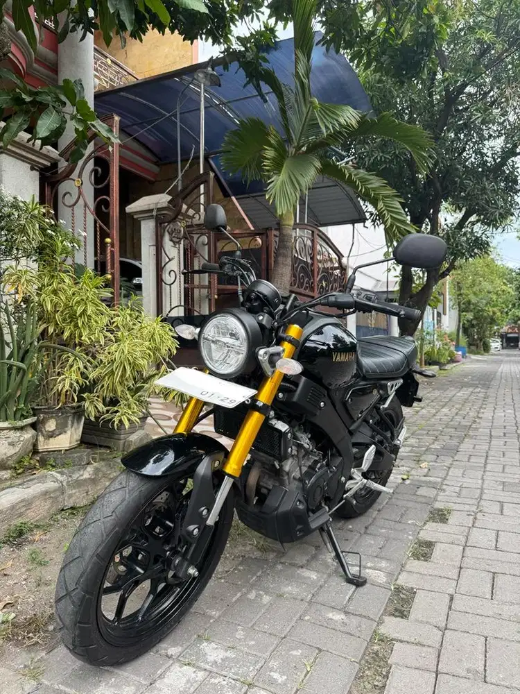 YAMAHA XSR 155 2023