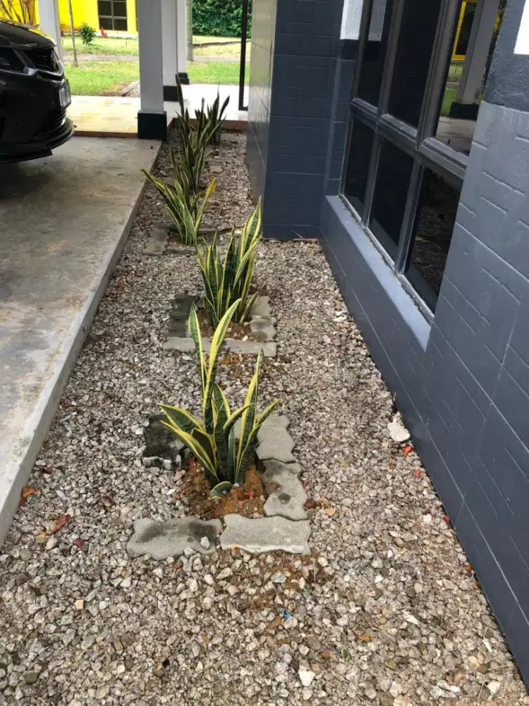 Di Cari Art PP Wanita