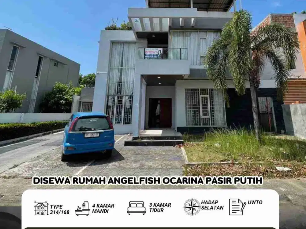 Disewakan rumah Angelfish ocarina pasir putih