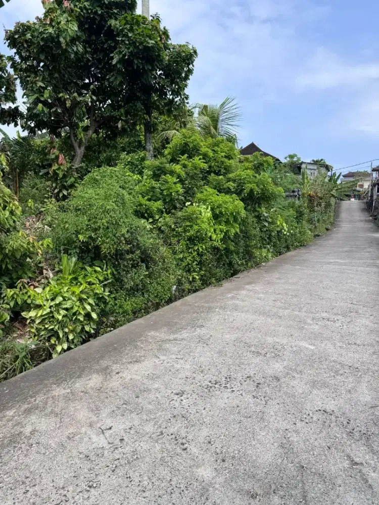 35mnit to Canggu BUC 300m2