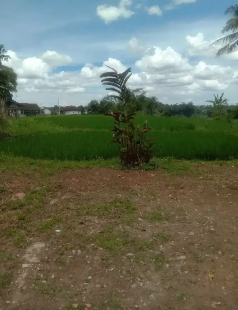 DIJUAL Lahan sawah