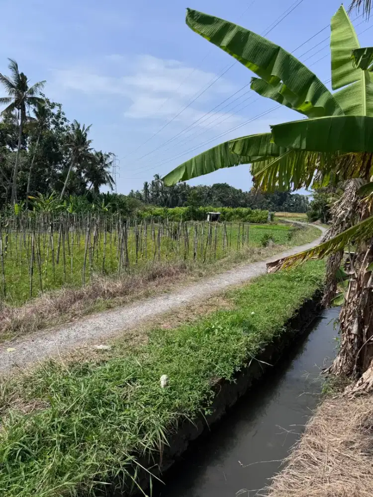 BUC 40 mnit ke Canggu