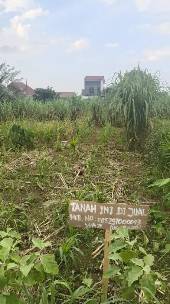 Dijual Tanah 10*20 (Dekat Sekolah Alazhar, Kec Medan Johor)