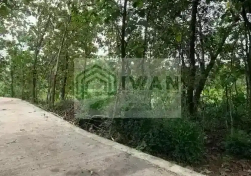 Tanah Murah Akses Jalan Mobil Sudah Pengerasan (Bisa Perluasan)