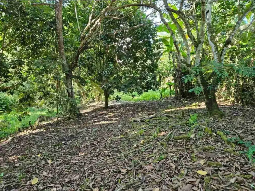 JUAL TANAH DI MAPANGET MANADO