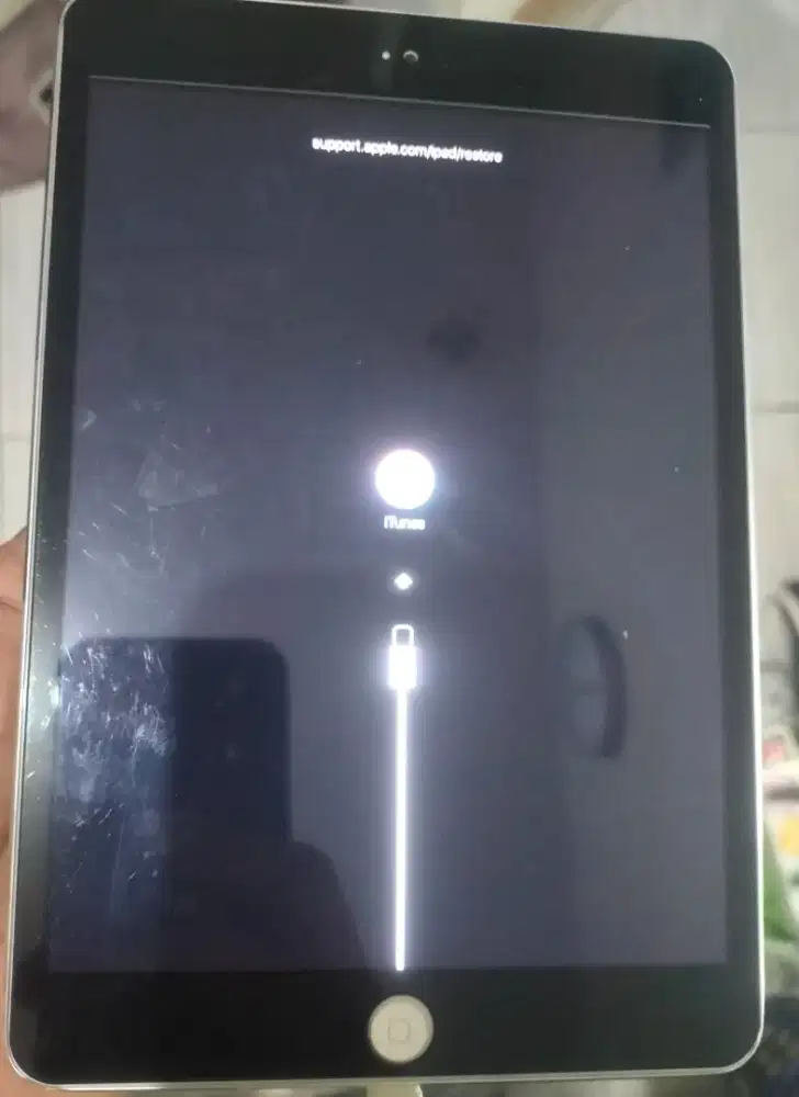 Ipad mini 2 64gb Stuck iTunes