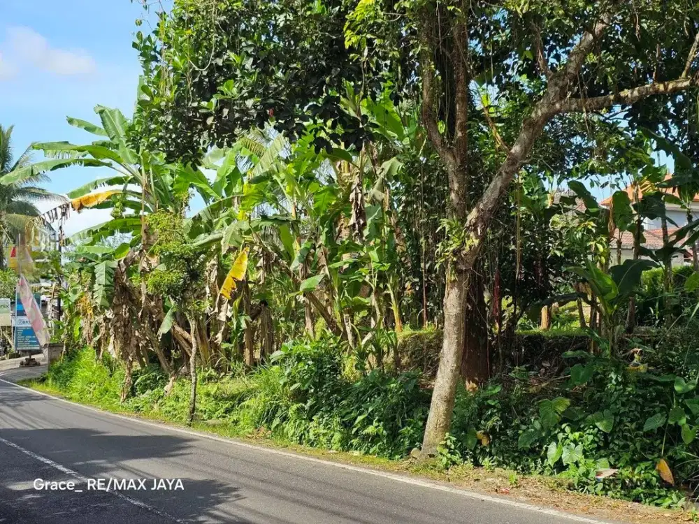 Tanah 35 Are Lokasi di Pusat Pariwisata Dijual, di Area Payangan Ubud