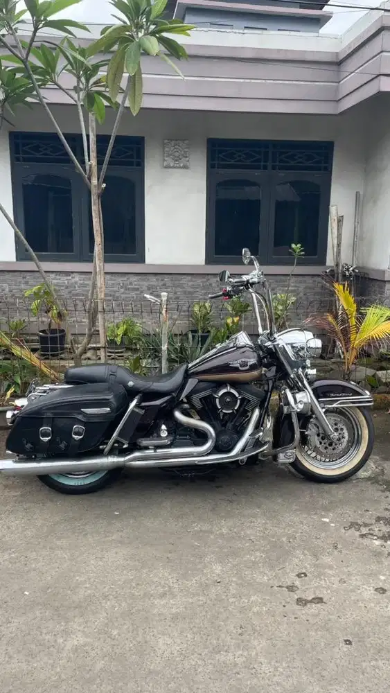 Harley Davidson Roadking 95th
