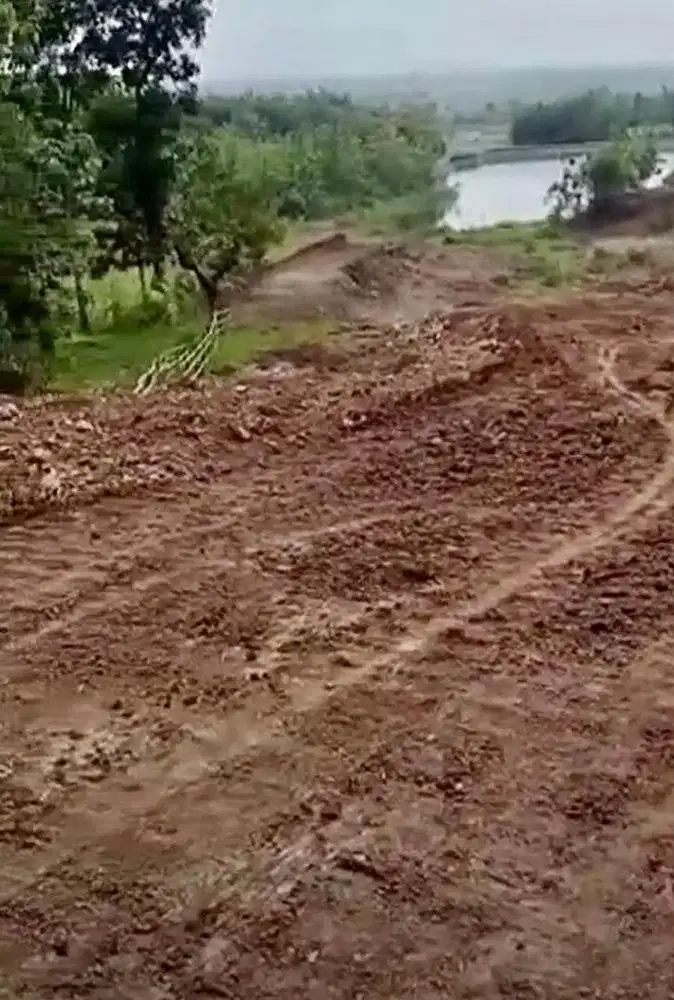 Tanah Peternakan Murah