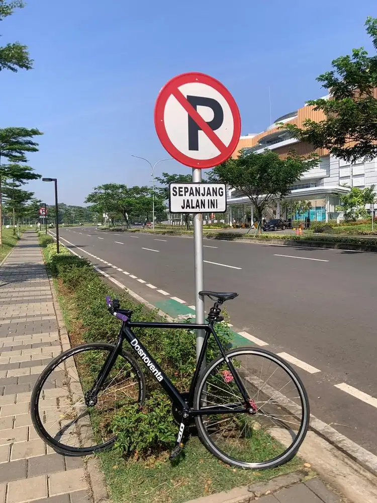 fixie dosnoventa custom