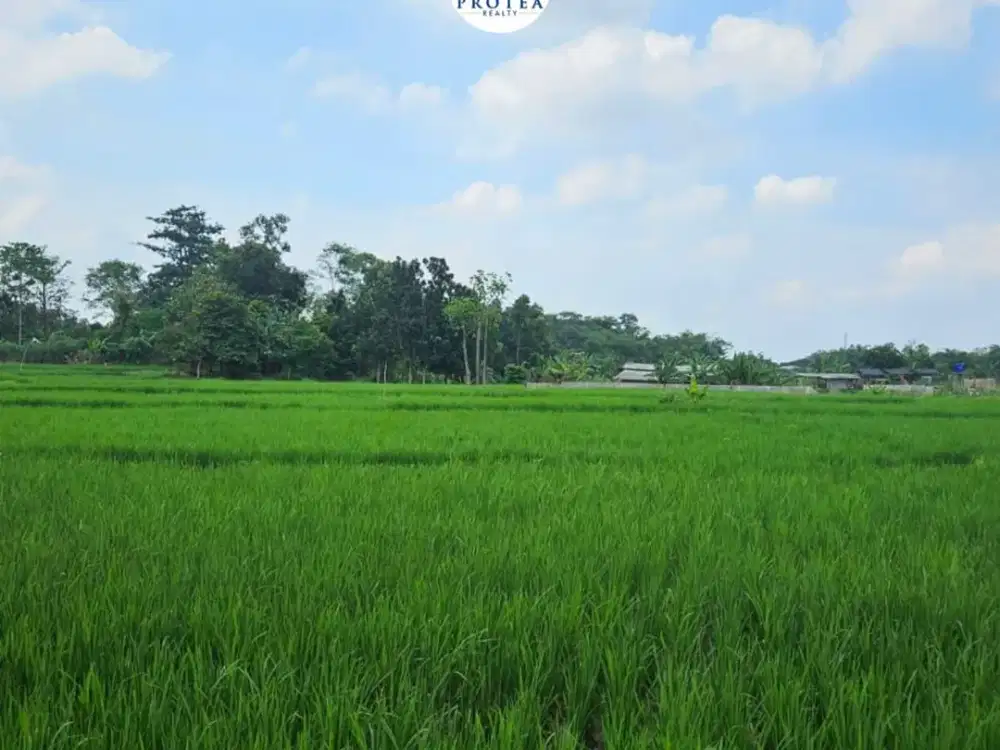 Tanah Komersial di Pinggir Jalan Raya Besar Sumber, Cirebon