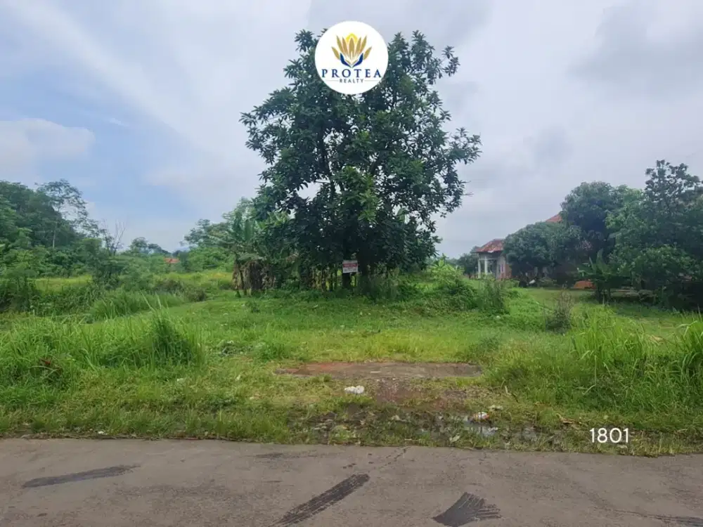 Dijual Tanah Sawah di Sumber, Kab Cirebon