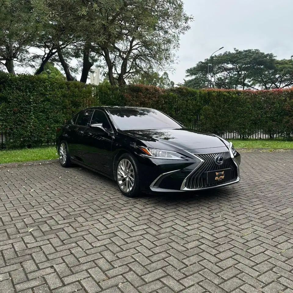 Lexus ES300h Ultra Luxury Sedan 2021