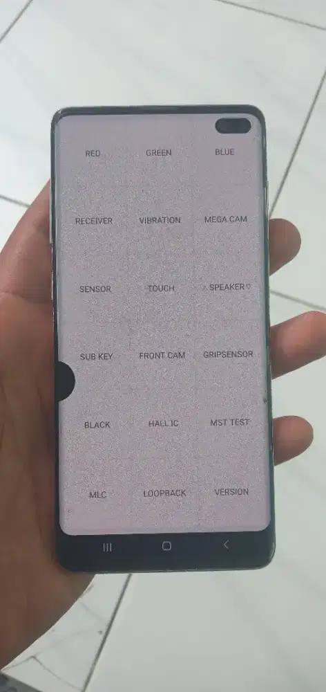 Samsung s10 plus