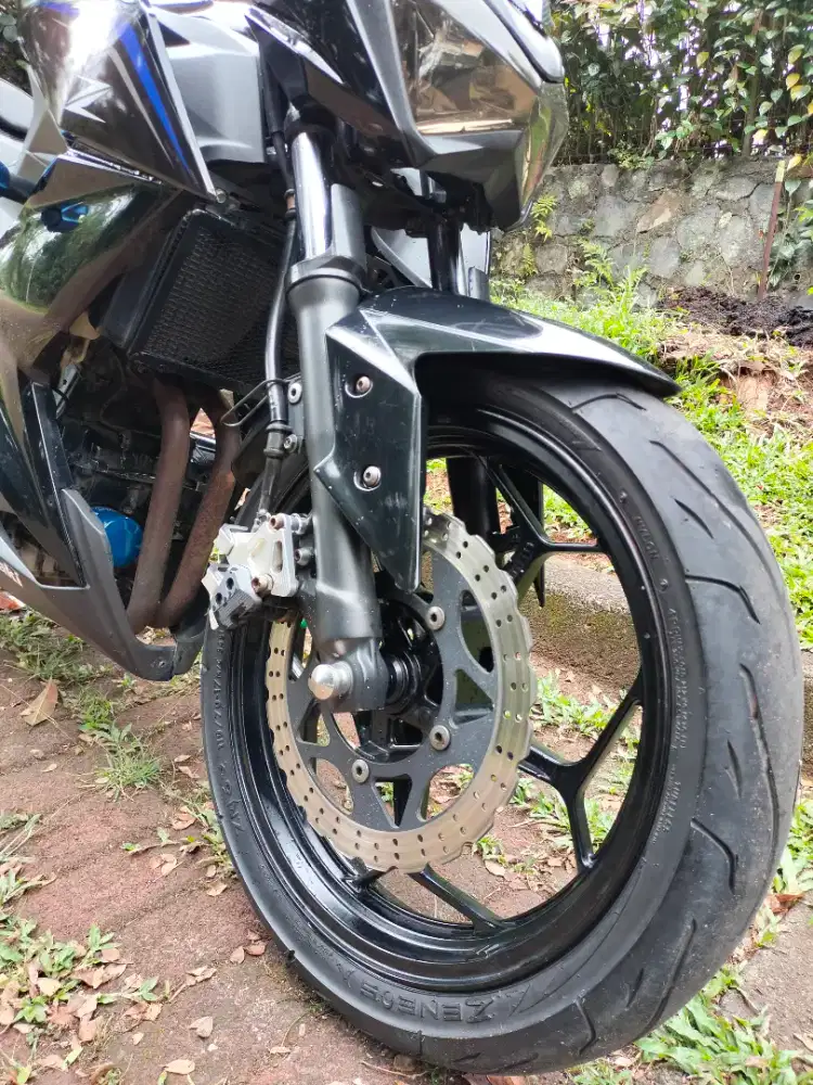 Kawasaki Z250 2013