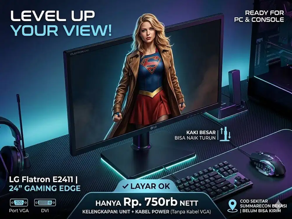 Monitor LED LG Flatron 24