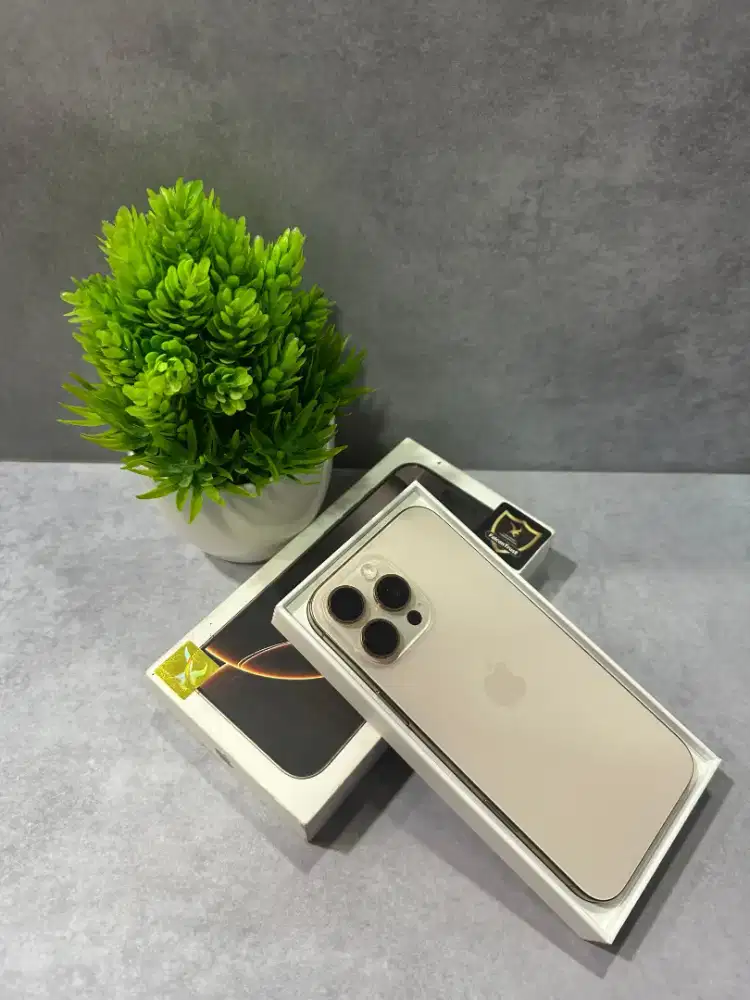 iPhone 16 promax 256gb inter beacukai