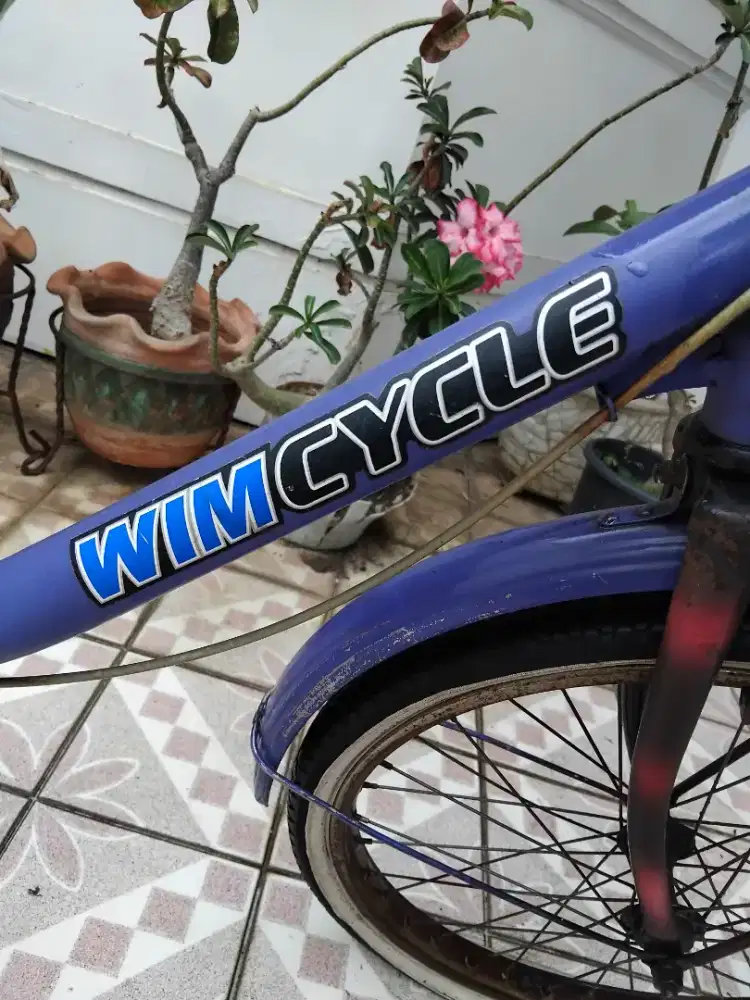 Sepeda mini keranjang 20 inch