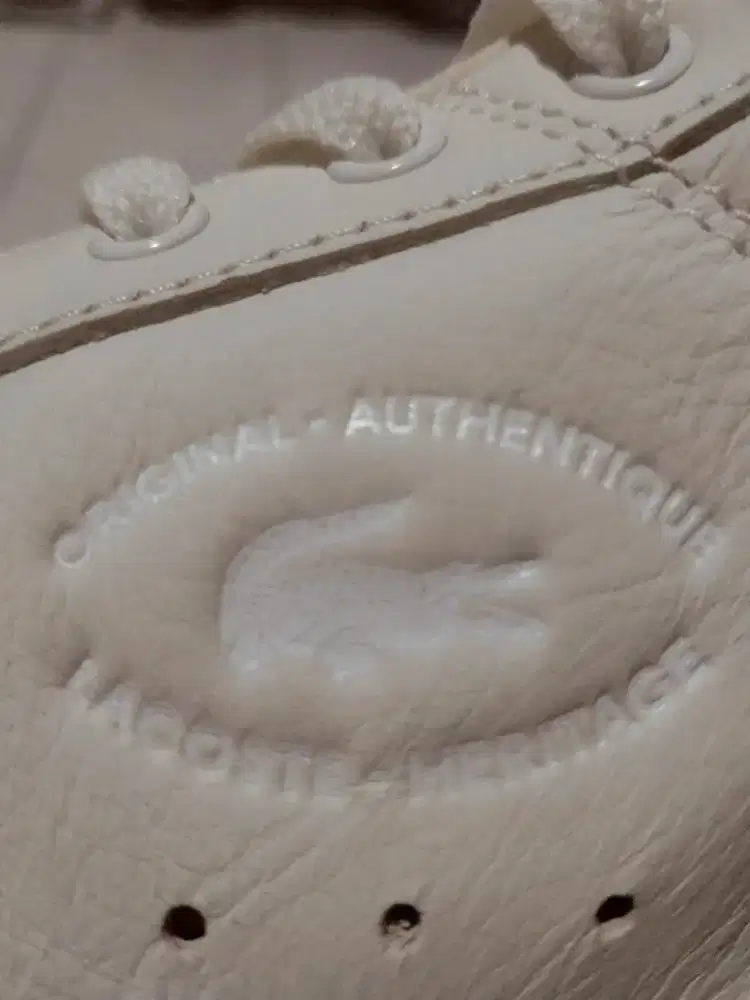 Sepatu Lacoste set Carnaby